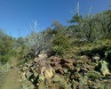 photo thumbnail #10