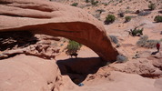 photo thumbnail #8