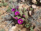 photo thumbnail #6