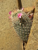 photo thumbnail #7