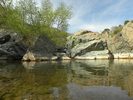 photo thumbnail #11