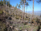 photo thumbnail #9