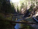 photo thumbnail #1