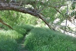 photo thumbnail #13