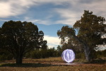 photo thumbnail #10