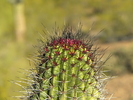 photo thumbnail #7