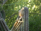photo thumbnail #11