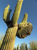 photo thumbnail #15