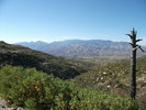 photo thumbnail #9
