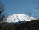 photo thumbnail #1