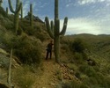 photo thumbnail #10