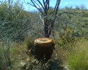 photo thumbnail #13