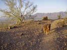 photo thumbnail #6