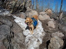photo thumbnail #1