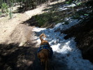 photo thumbnail #2