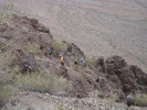 photo thumbnail #10