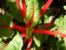 photo thumbnail #5