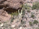 photo thumbnail #11