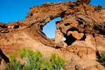 photo thumbnail #5