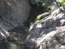 photo thumbnail #12