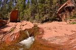 photo thumbnail #6