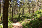 photo thumbnail #7