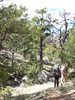 photo thumbnail #7