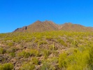 photo thumbnail #11