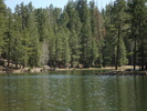 photo thumbnail #6