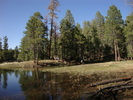 photo thumbnail #11