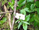 photo thumbnail #5