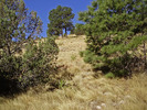 photo thumbnail #6