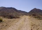 photo thumbnail #3