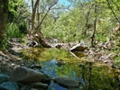 photo thumbnail #14