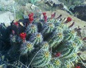 photo thumbnail #1