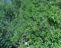 photo thumbnail #9