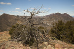 photo thumbnail #14