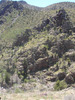 photo thumbnail #5