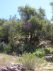 photo thumbnail #11