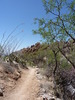 photo thumbnail #5
