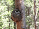 photo thumbnail #7