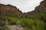photo thumbnail #15