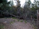 photo thumbnail #12