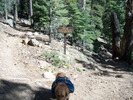 photo thumbnail #5