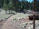 photo thumbnail #7