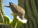 photo thumbnail #2