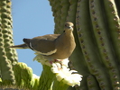 photo thumbnail #3