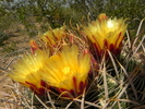 photo thumbnail #9
