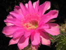 photo thumbnail #11
