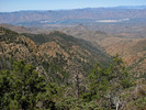 photo thumbnail #3